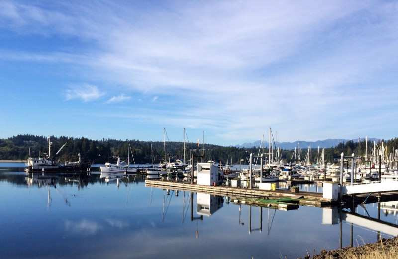Marina view at The Resort At Port Ludlow.