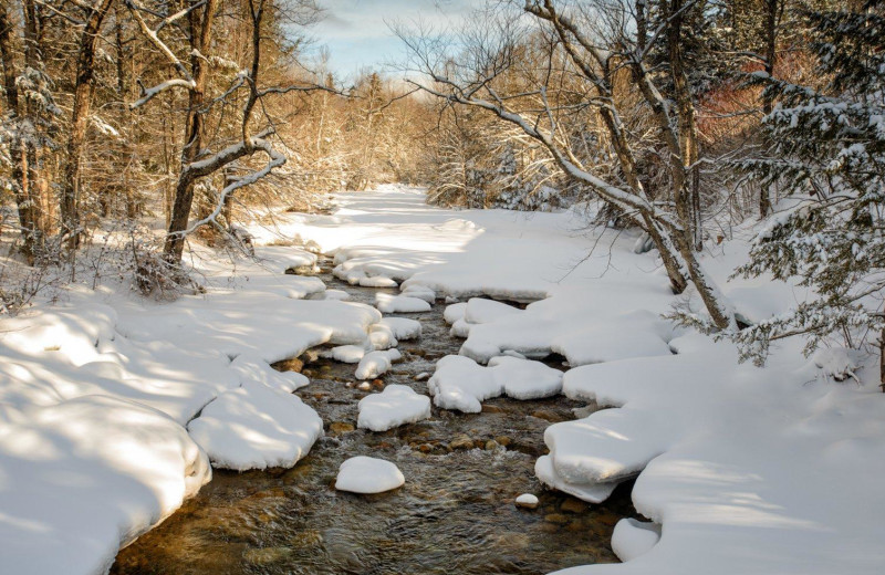 Stream near Silver Fox Inn.