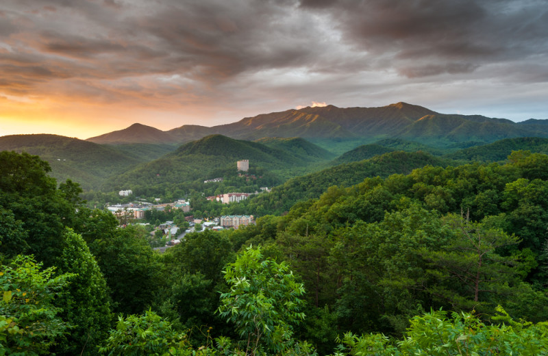 Mountain view at Timber Tops Luxury Cabin Rentals.