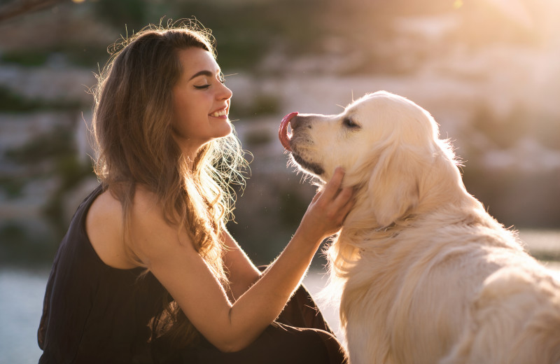 Pets welcome at Brigadoon Vacation Rentals.