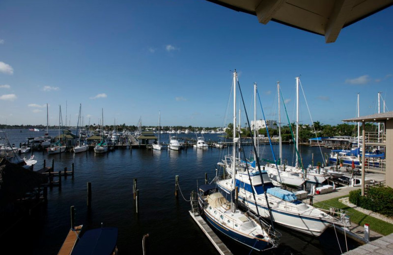 Marina view near Cove Inn on Naples Bay.