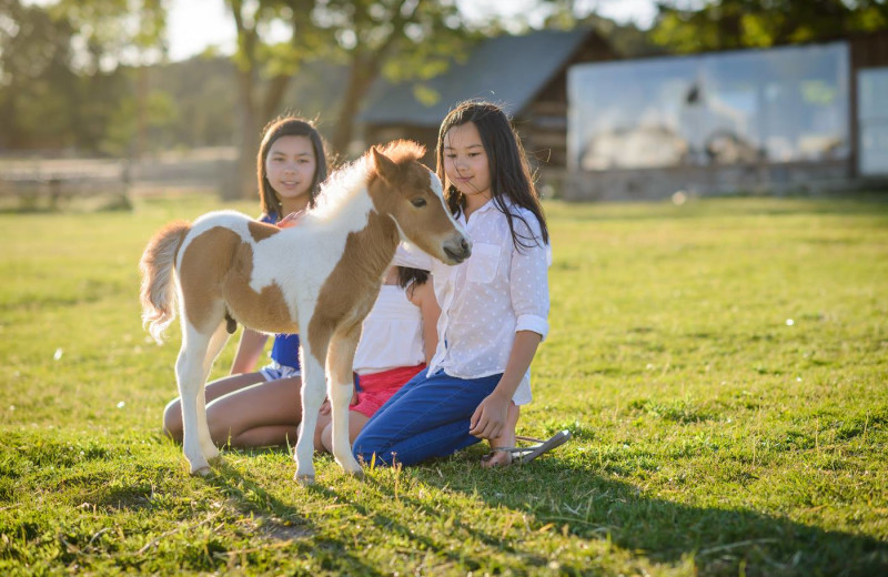 Family with pony at Zion Mountain Ranch.