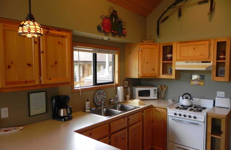 Cabin kitchen at Cold Springs Resort.