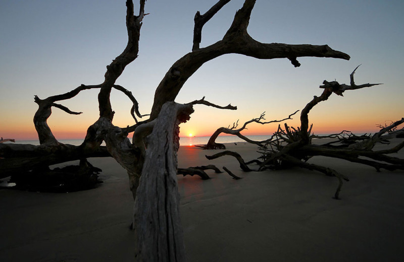 Beach at Days Inn & Suites Jekyll Island.