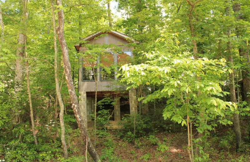 Cabin exterior at Mountain Rest Cabins and Campground.