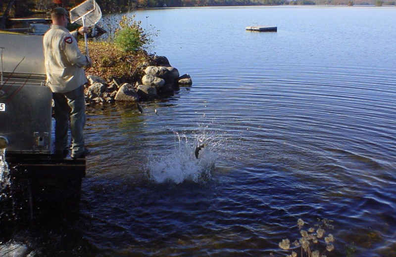 Stocking the lake at Highland Lake Resort.