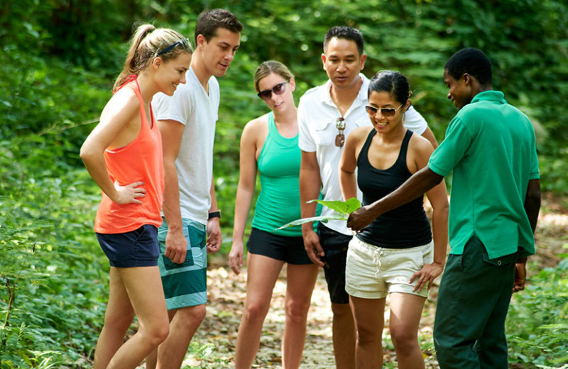 Jungle tour at Bluefields Bay Villas.