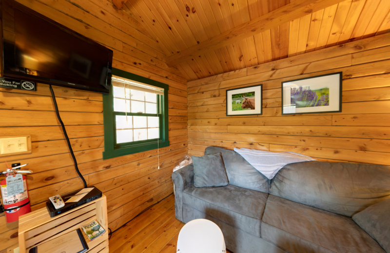 Cabin living room at Buttonwood Grove Winery