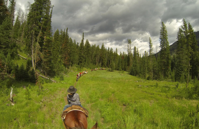 Trail riding at Shoshone Lodge & Guest Ranch.