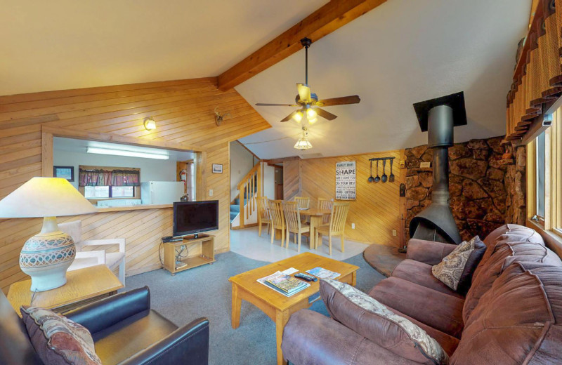 Cabin living room at Valhalla Resort.