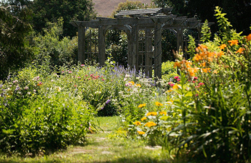 Garden at Strathmere Retreat & Spa.