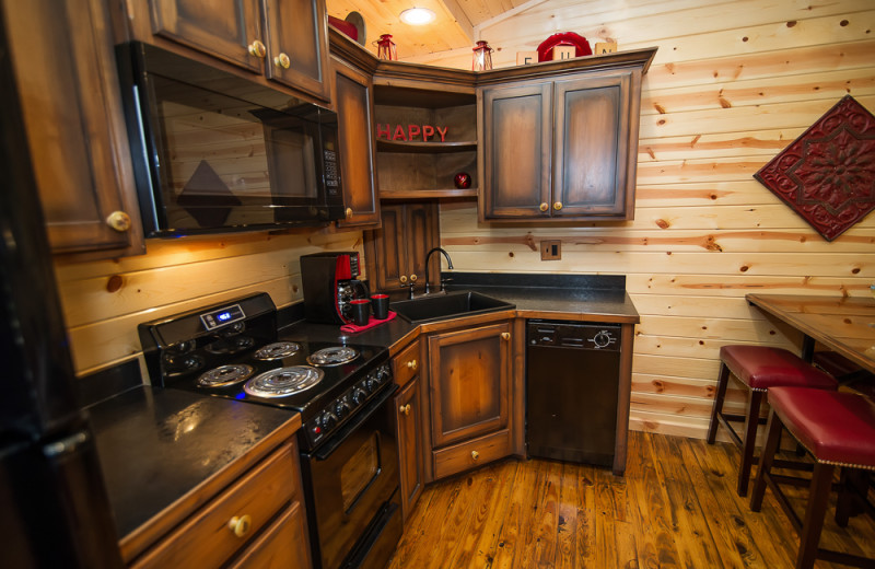 Cabin kitchen at Kiamichi Country Cabins.