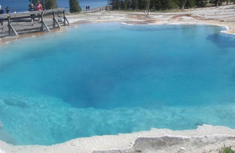 Yellowstone National Park near Bill Cody Ranch