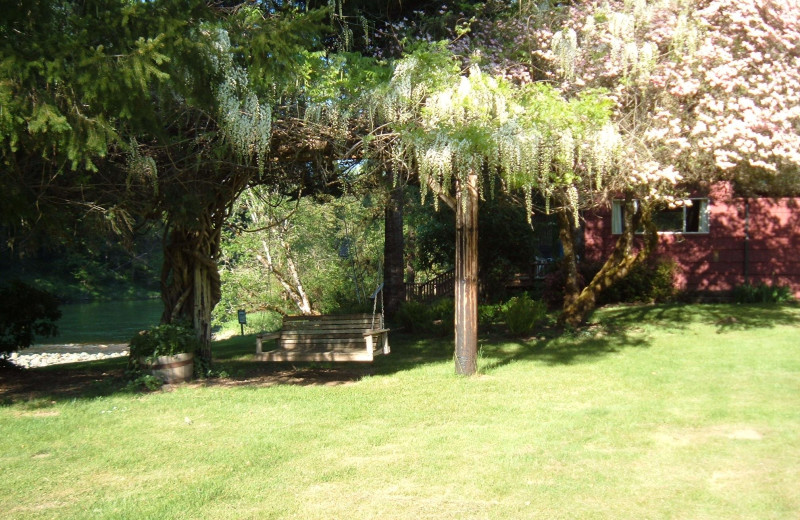 Cabin swing at The Wayfarer Resort.