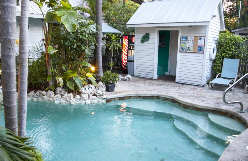 Outdoor pool at Courtney's Place.