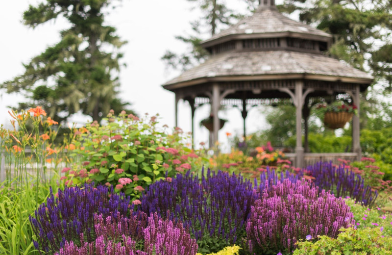 Gazebo at Newagen Seaside Inn.