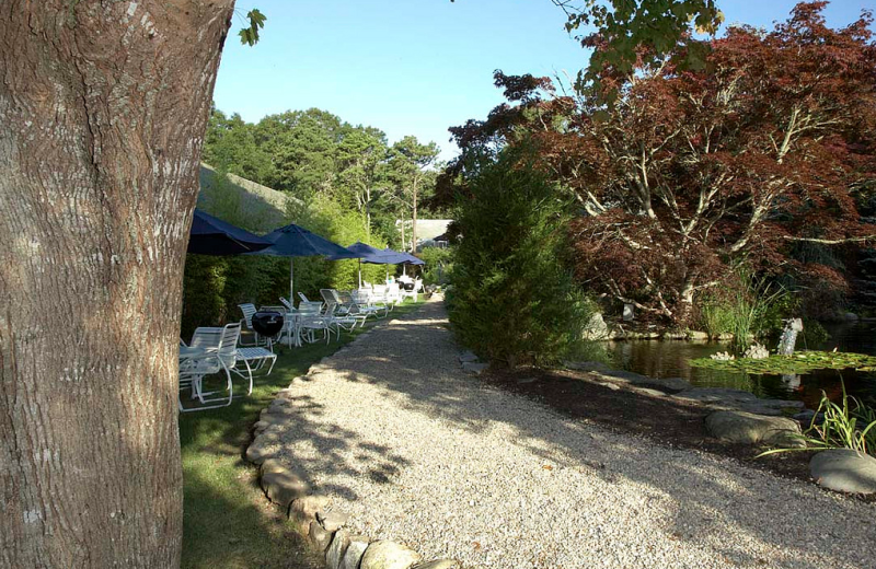 Garden view at Pleasant Bay Village.