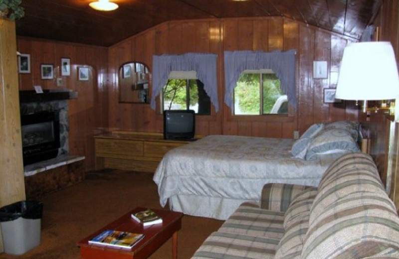 Interior view at Rain Forest Resort.