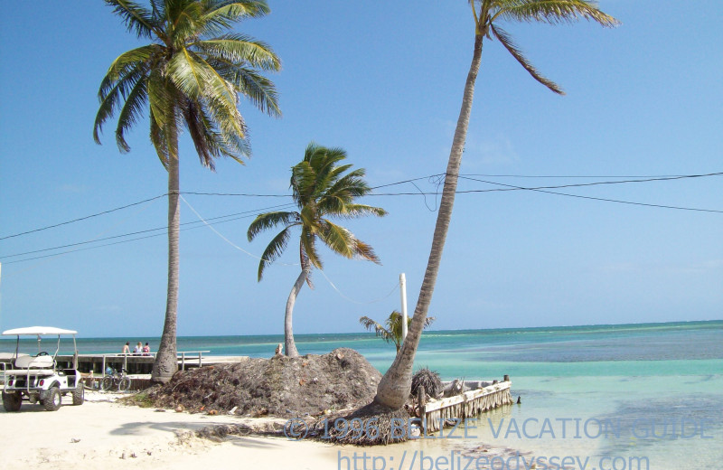 Beach at Belize Odyssey.