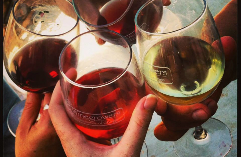 Wine dinner at Dahlonega Spa Resort.