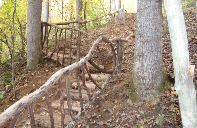 Path at Bear Trail Cabins.