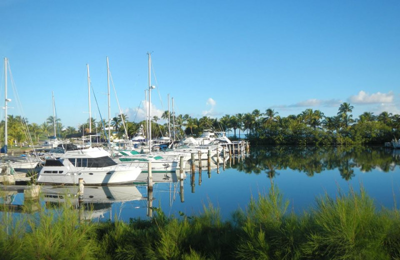 Marina at Tamarind Reef Resort