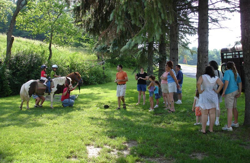 Horseback riding at Baumann's Brookside Summer Resort.