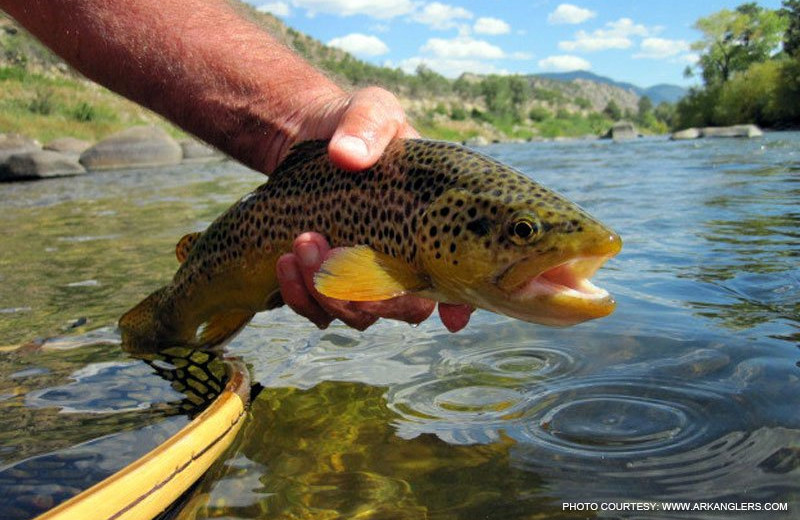 Fishing at Mt. Princeton Hot Springs Resort.