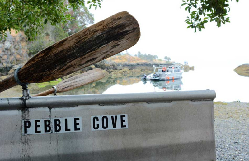 Lake view at Pebble Cove Farm.