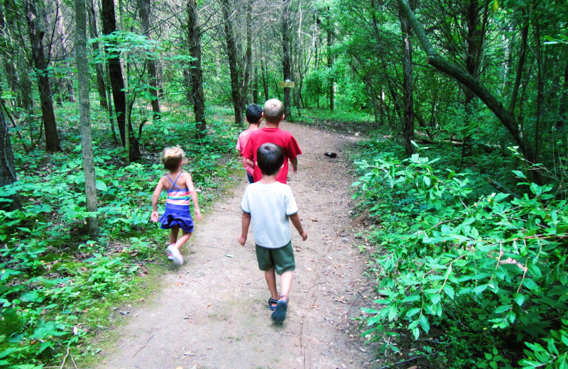 Hiking at Jellystone Park at Lake Monroe.