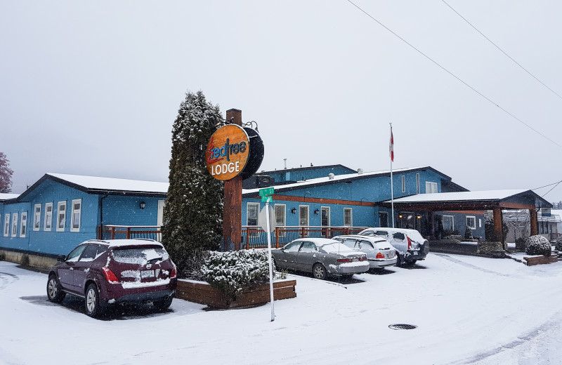Winter exterior at Red Tree Lodge.