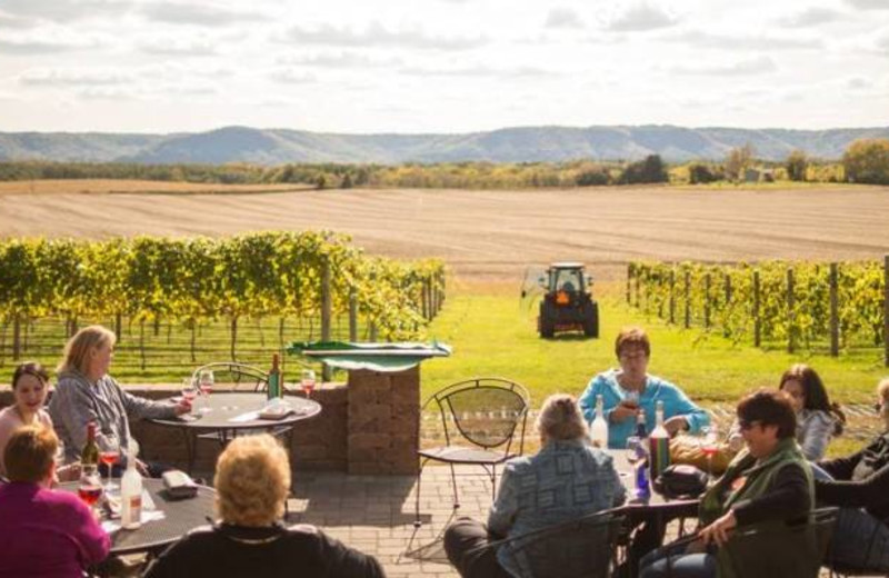 Winery near Eagles on the River and Anderson House Hotel.