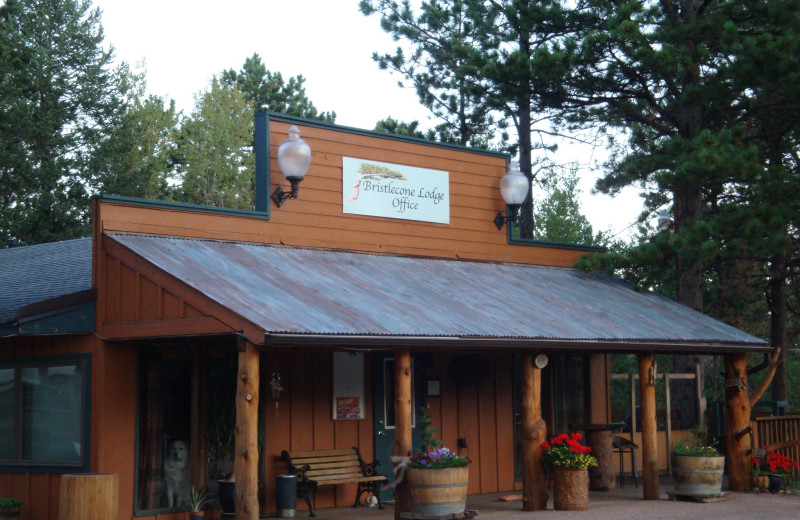 Exterior view of Bristlecone Lodge.