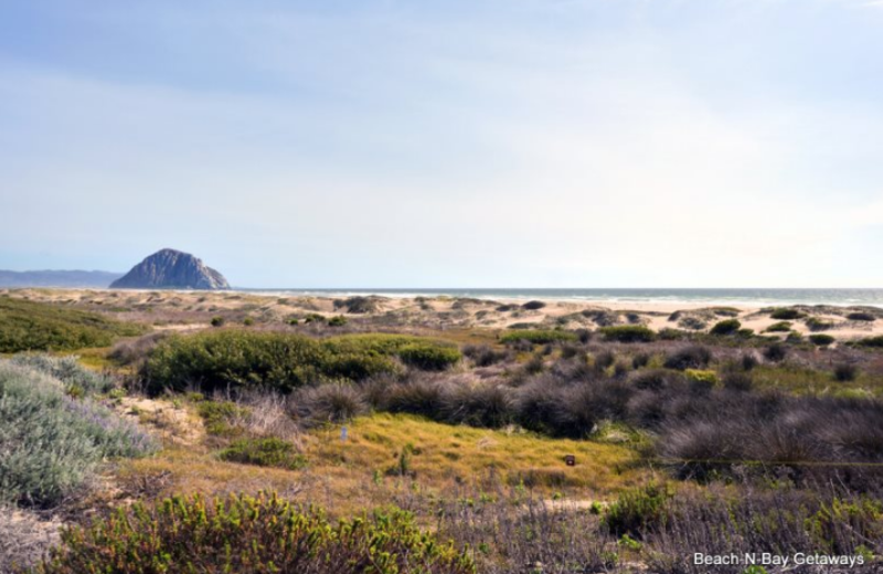 BeachNBay Getaways (Morro Bay, CA) Resort Reviews