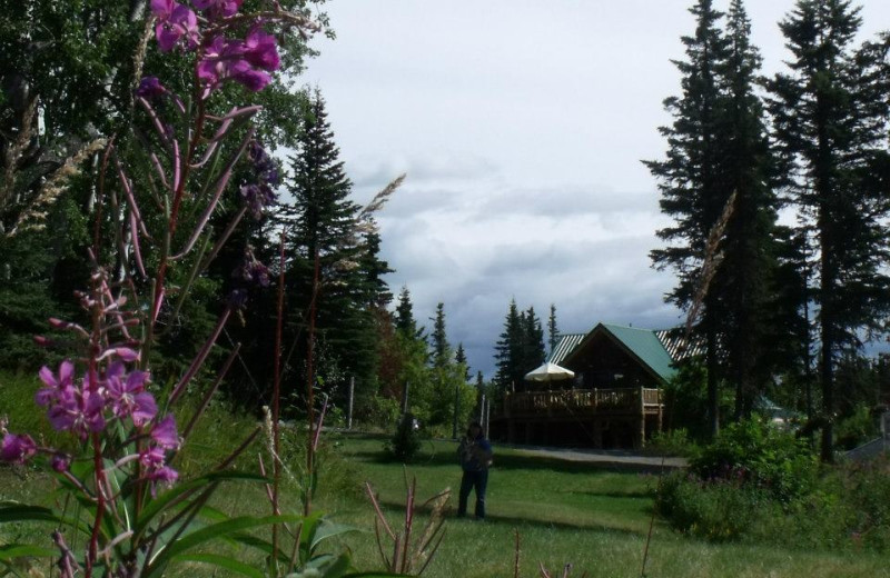 Exterior view of Hungry Moose Bed and Breakfast.