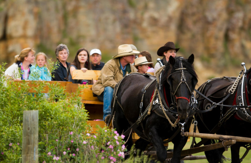 Wagon rides at 320 Guest Ranch.