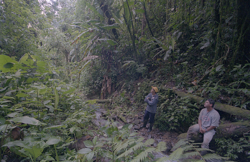 Hiking at Hacienda Primavera Wilderness Ecolodge.