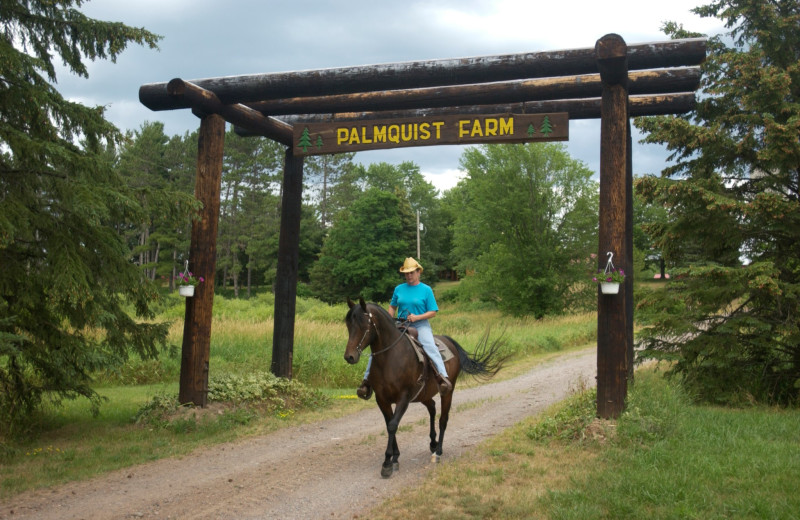 Horseback riding at Palmquist Farm.