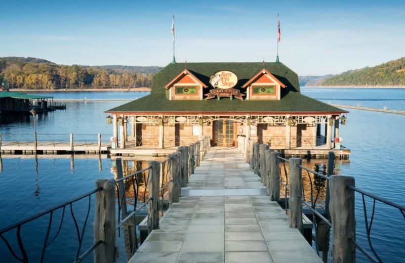 Fishing at Pine Ridge Log Cabins.