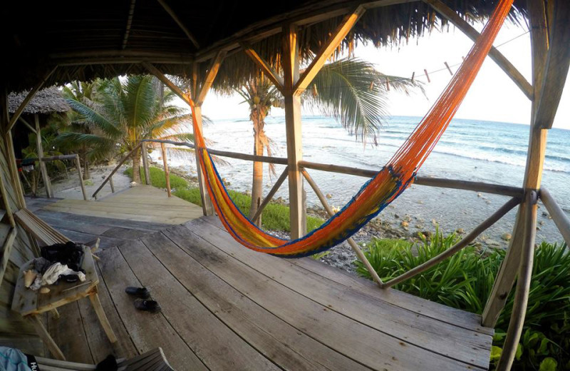 Hammock at Long Caye at Glover's Reef.