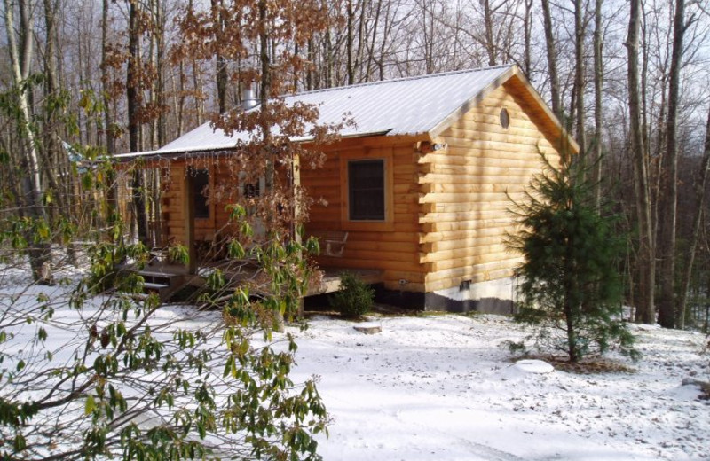 Cabin exterior at Country Road Cabins.