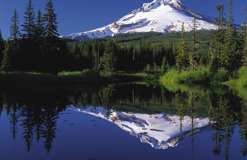 Mount Hood near Whispering Woods Resort.