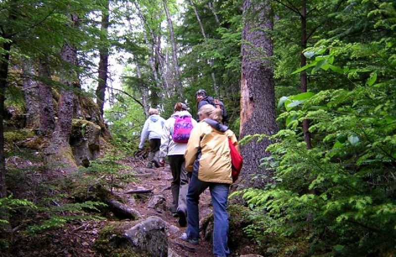 Hiking at Silver Creek Plunge