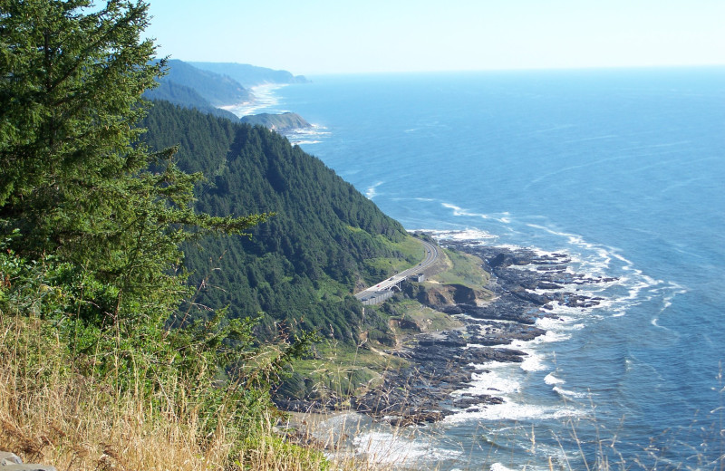 Coast near Old Town Inn.