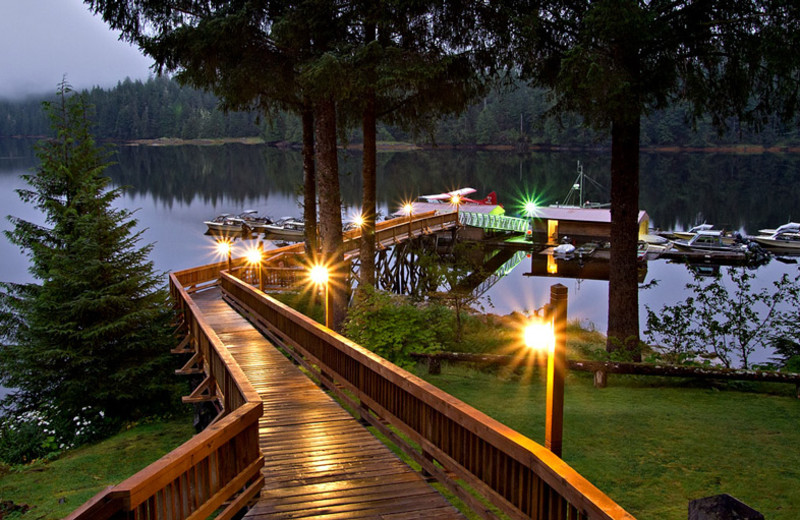 Bridge at Yes Bay Lodge.