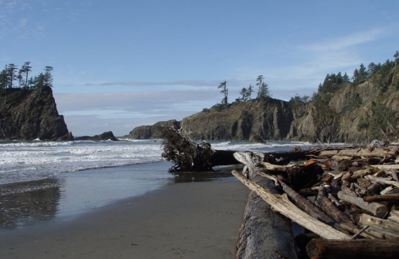 Beach at Quileute Oceanside Resort.