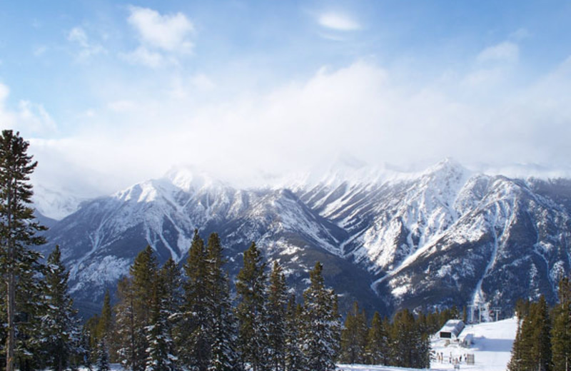 Panorama Ski Resort at the Panorama Vacation Retreat at Horsethief Lodge