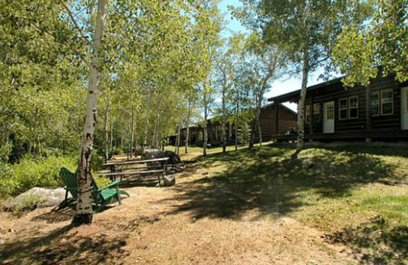 Rear of Cabins at Lakeside Lodge