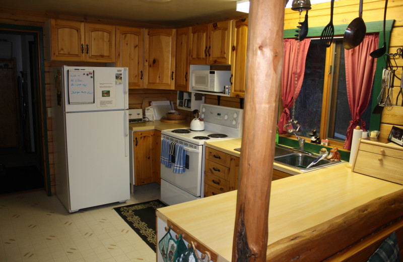 Cabin kitchen at Gingerbread Cabin.