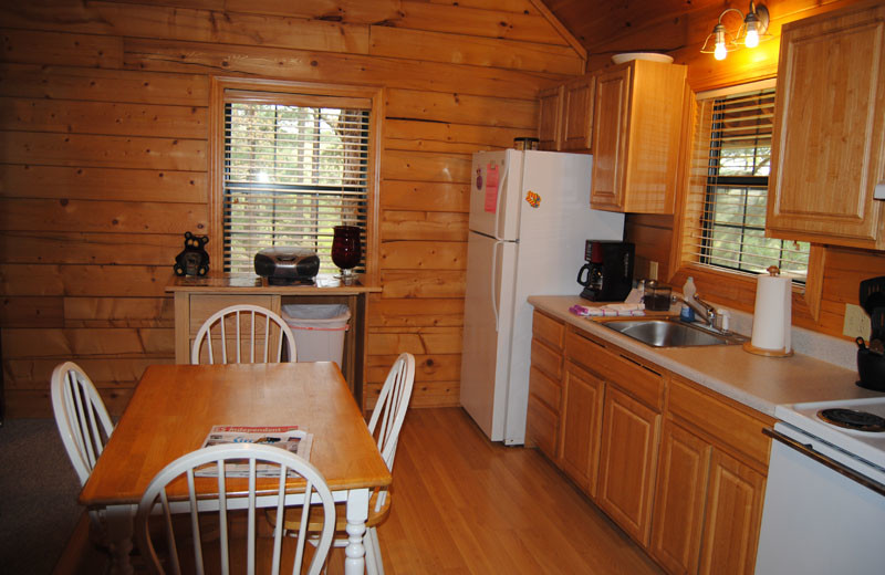 Cabin kitchen at Cabin Fever Resort.